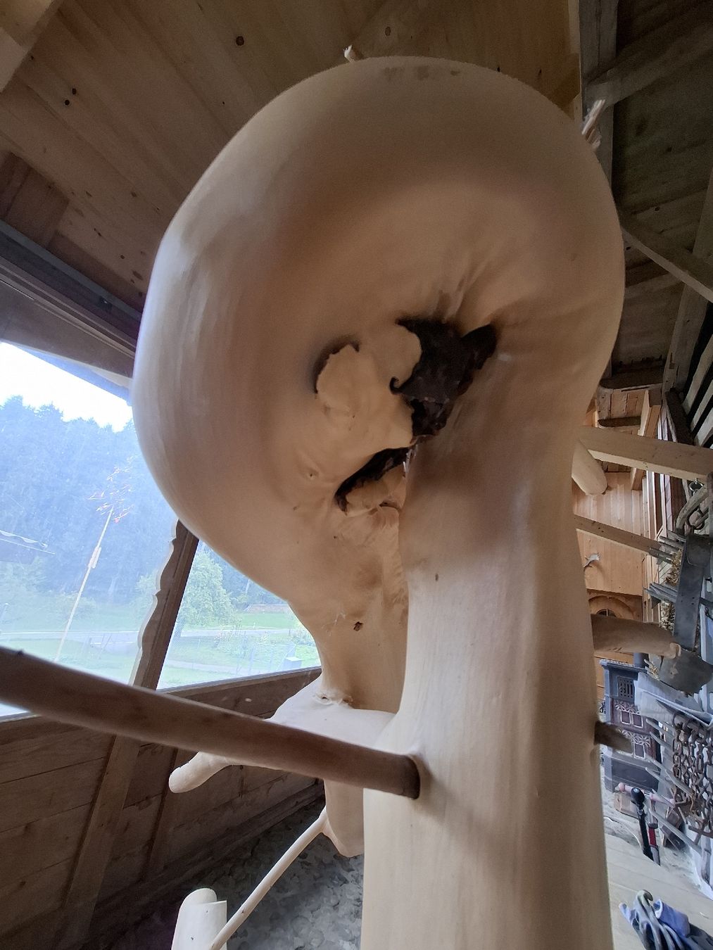 Articoli in legno: Holz deko – Usato da Reisiswil venduto da Johnny.Rockets 4