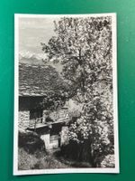 Tessin - Natur - Frühling