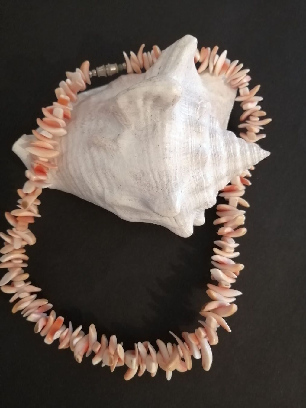 Catenine: Prachtvolles Muschel COLLIER – Usato da Nunningen venduto da mochflo 2