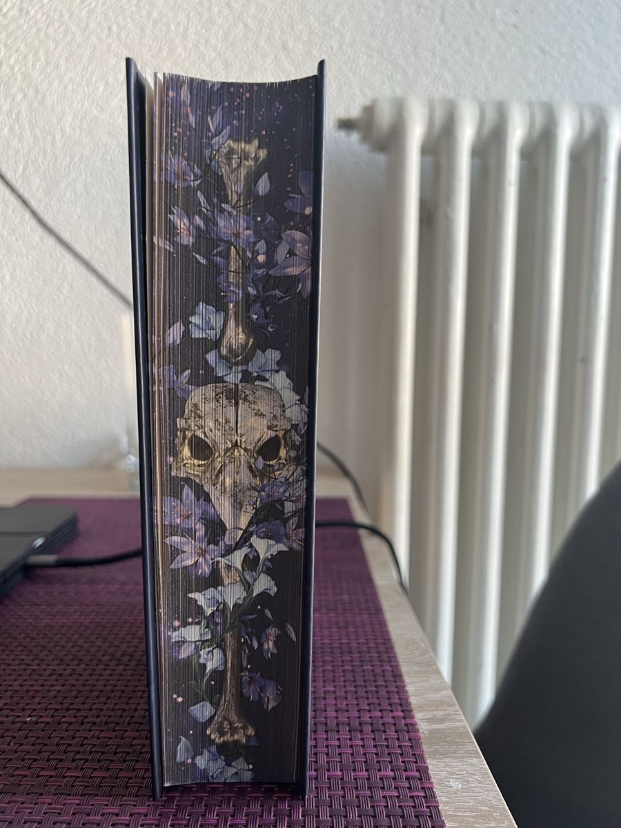 Bücher: Ruinous Creatures – Neu (gemäss Beschreibung) aus Glattbrugg von readsy 2