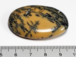 Moosopal/Dendritopal 43mm