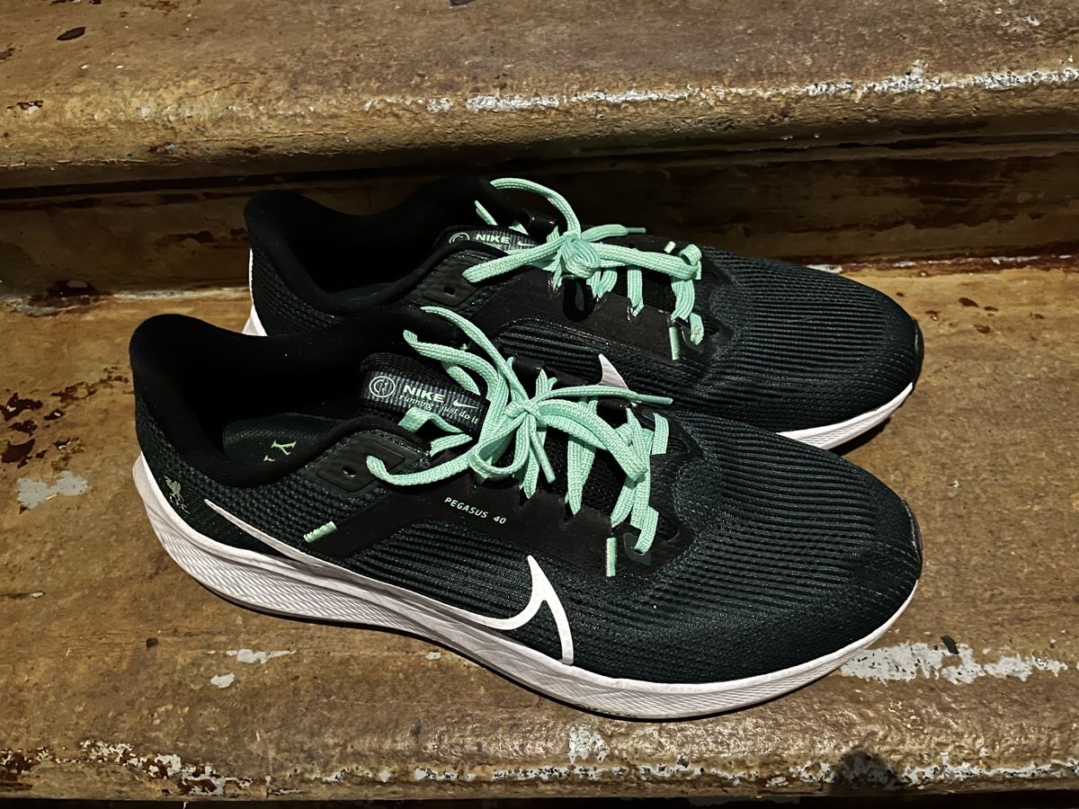 Nike Scarpe da uomo: Nike Air Pegasus – Usato da Uster venduto da sneakerchris2001 1
