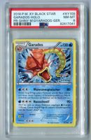 PSA 8 Garados Holo Black Star Promo XY109 Deutsch