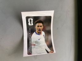 Coca Cola Panini Antonee Robinson