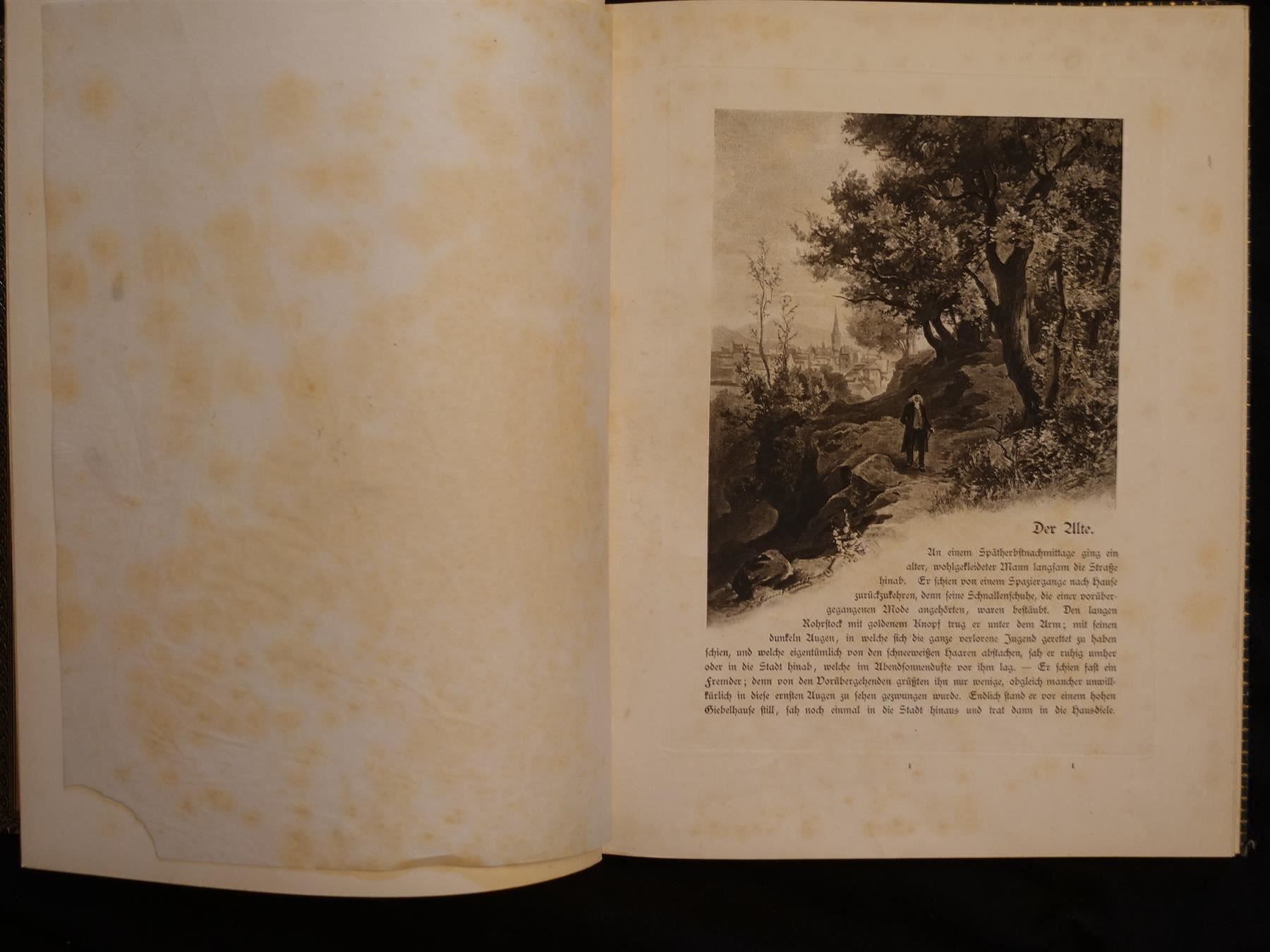Libri: Immensee Theodor Storm 1887 – Usato da Gutenswil venduto da Optico 4