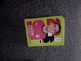 Panini Sticker EGY 4, Ägypten WM 2026