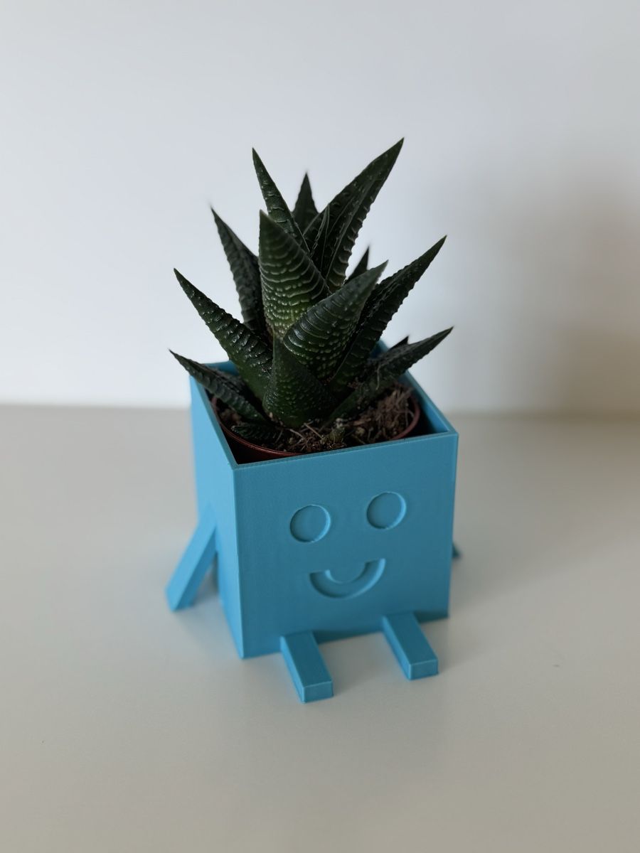 Vasi & Recipienti: Homemade designed cube vase for little plants – Nuovo (secondo la descrizione) da Bellinzona venduto da Yoichi 2