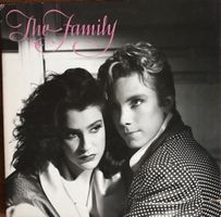 The Family (PRINCE) Vinyl Debut Album (1985)