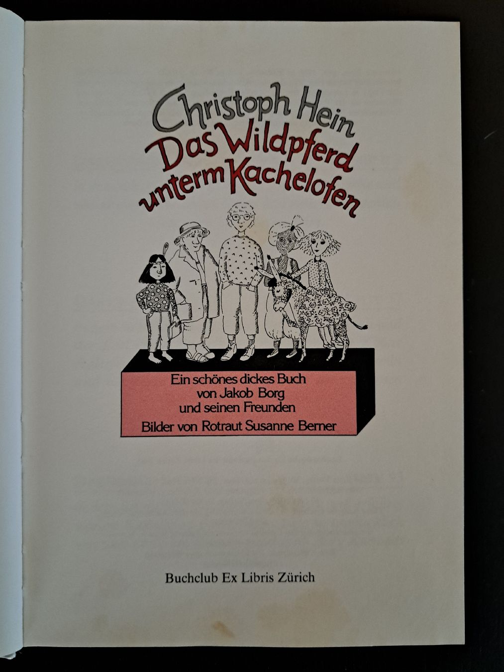 Libri: Kinderbuch•Das Wildpferd unterm Kachelofen – Usato da Ottenbach venduto da Rasenmaeeher 2