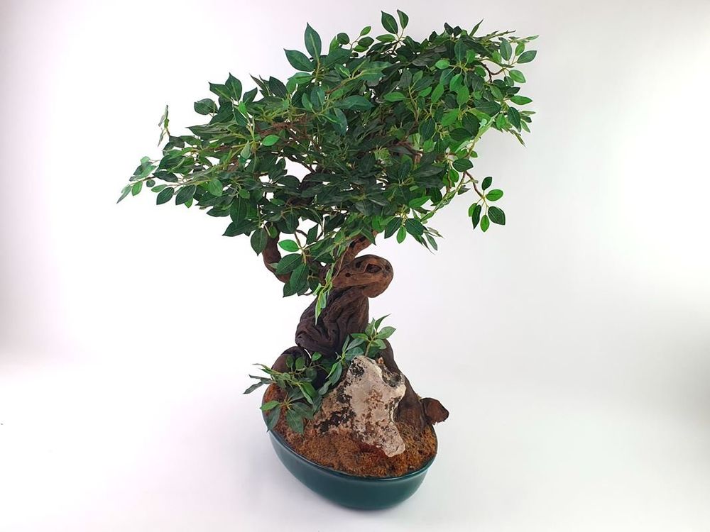 eibe als bodendecker Gemeine Eibe (Taxus baccata) | 150-175 cm mit Wurzelballen