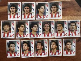 Panini WM 2006 Paraguay Santa Cruz