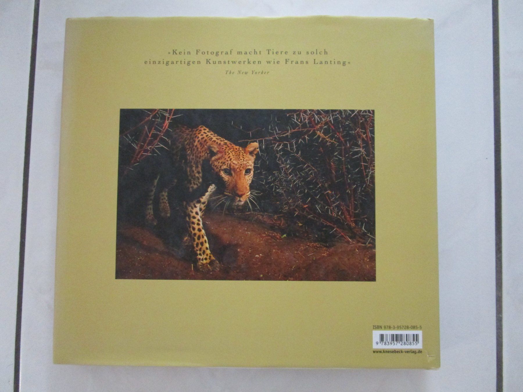 Livres: Frans Lanting Into Africa – D'occasion à Volketswil par Megaissimo 1