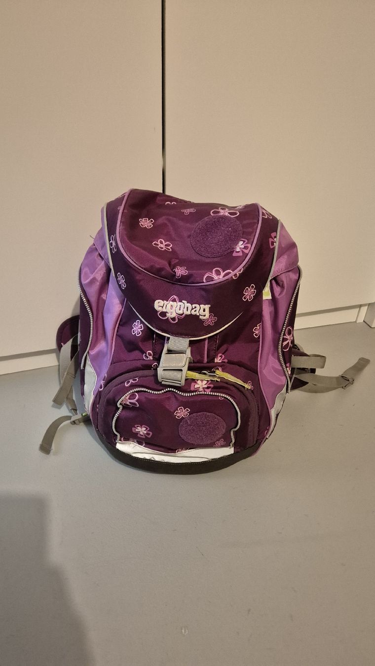 Ergobag Borse & Zaini: Ergobag Schulrucksack violett/rosa Mädchen mit Zubehör – Usato da Uttigen venduto da Mags78 2