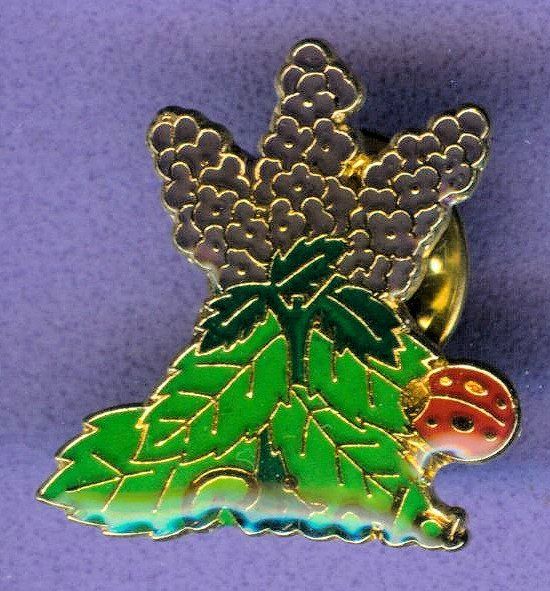 Placchette & Badge: Ricola   Mentha – Usato da Winterthur venduto da Sammleroase