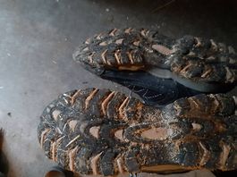 Wanderschuhe 39