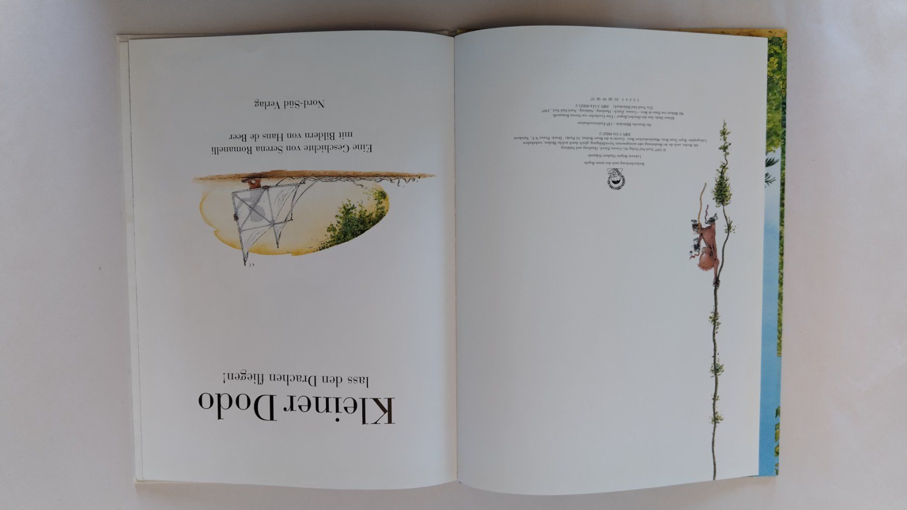 Libri: Kleiner Dodo lass den Drachen fliegen / Bilderbuch Affe – Usato da Bellach venduto da JingleJerry 2