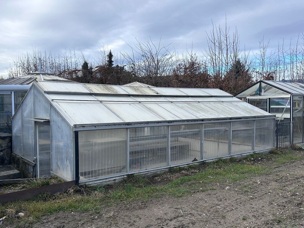 Casette da giardino & serre: Gewächshaus Treibhaus – Usato da Giswil venduto da 2059rudolf