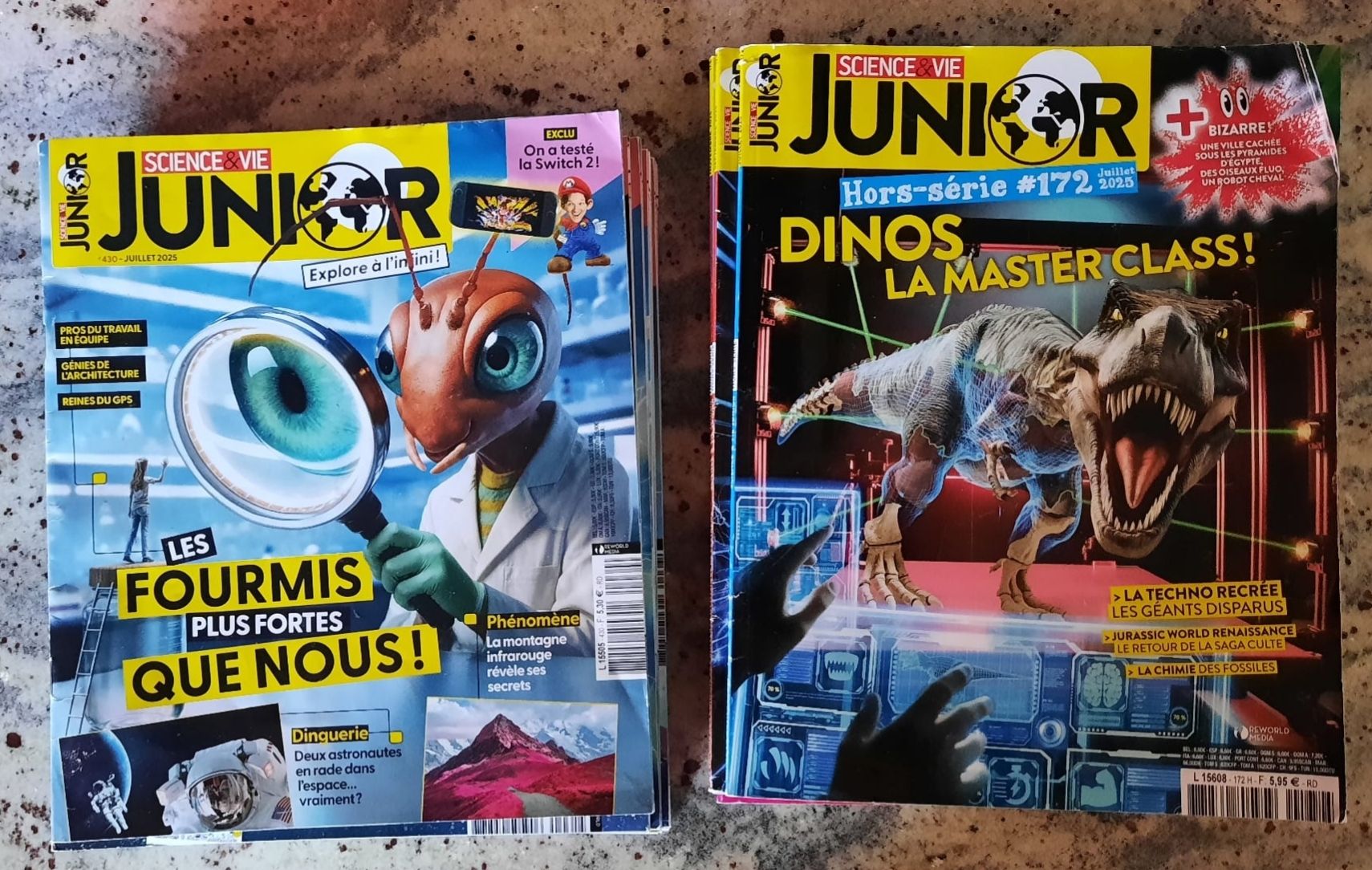 Riviste & Magazine: 25x Terre & Nature Junior Science&Vie-Junior, Salamandre Jun – Usato da Grugnay (Chamoson) venduto da Ultramab 1