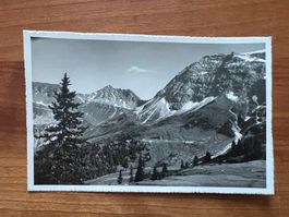 AK Scesaplanahütte ca. 1950 ungelaufen  (G1685)