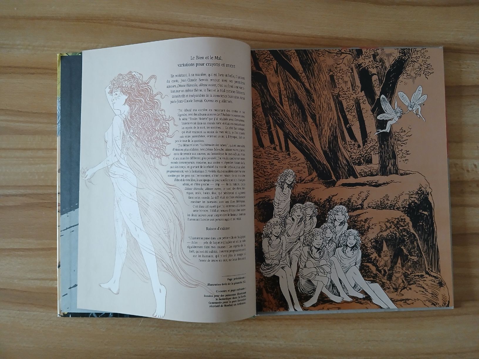 Fumetti: I tome de la série "Déesse Blanche, Déesse Noire" – Usato da Le Sentier venduto da arc_2thy 1