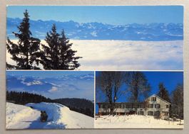 Bachtel-Kulm 1119 m ü.M.