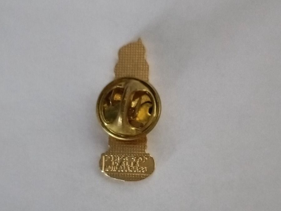Placchette & Badge: Pin Pisa Italien - Box 17 – Usato da Köniz venduto da Pinscollect 1