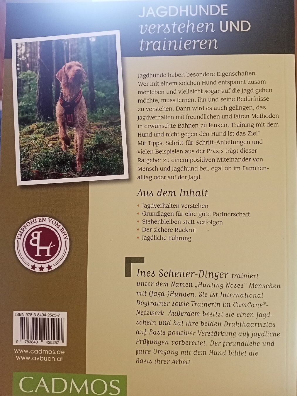 Libri: Scheuer-Dinger: Leben mit Jagdhund – Nuovo (secondo la descrizione) da Oftringen venduto da Myti 1