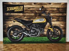 Ducati Scrambler 800 Bild (Gross)
