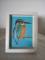 Bild Eisvogel mit weissem Rahmen neu, 17x22cm