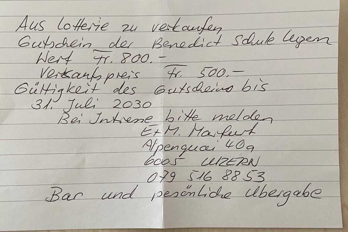 Buoni: Benedict Schule Luzern Gutschein – Nuovo (secondo la descrizione) da Reinach AG venduto da Lumpy01 2