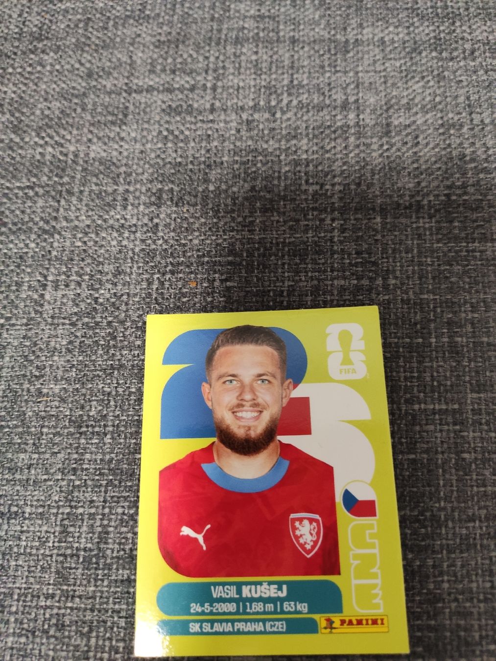 Panini Cartes à collectionner: panini CZE 16 – D'occasion à Ettenhausen TG par danielhoop