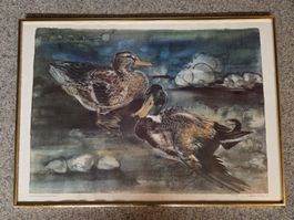 Kunstdruck Hans Erni Entenpaar 1985 im Goldrahmen