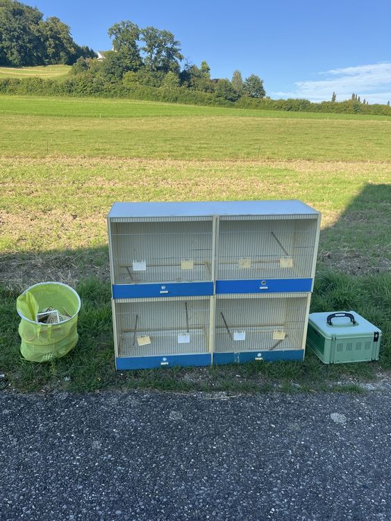 Sweet Feet & Beak Komfort-Sitzstange Für Vögel – Größe XS, Grün, Aus Beton – Hält Nägel & Schnabel Gesund, Einfach Zu Montieren
