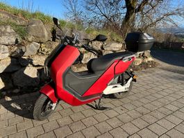 Roller Kategorie A1 Ecooter E5