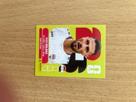 IRQ 3 - Rebin Sulaka - Panini WM 2026