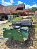 Schilter Lt 1 D Senior
