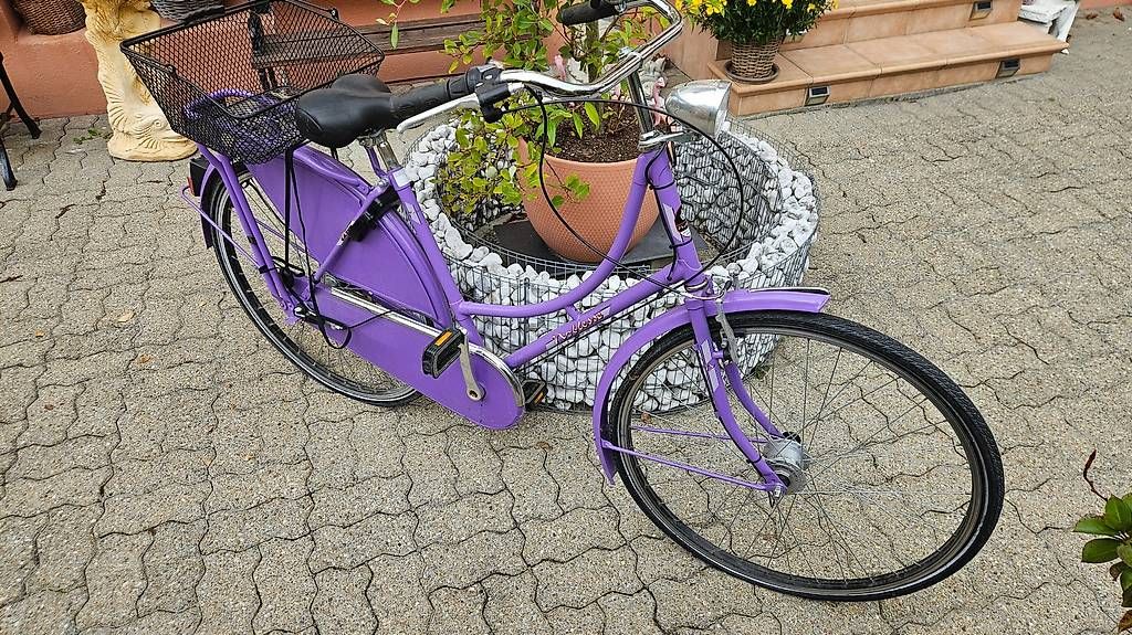 Biciclette: Vintage Fahrrad violet – Usato da Ittigen venduto da Auderset 2