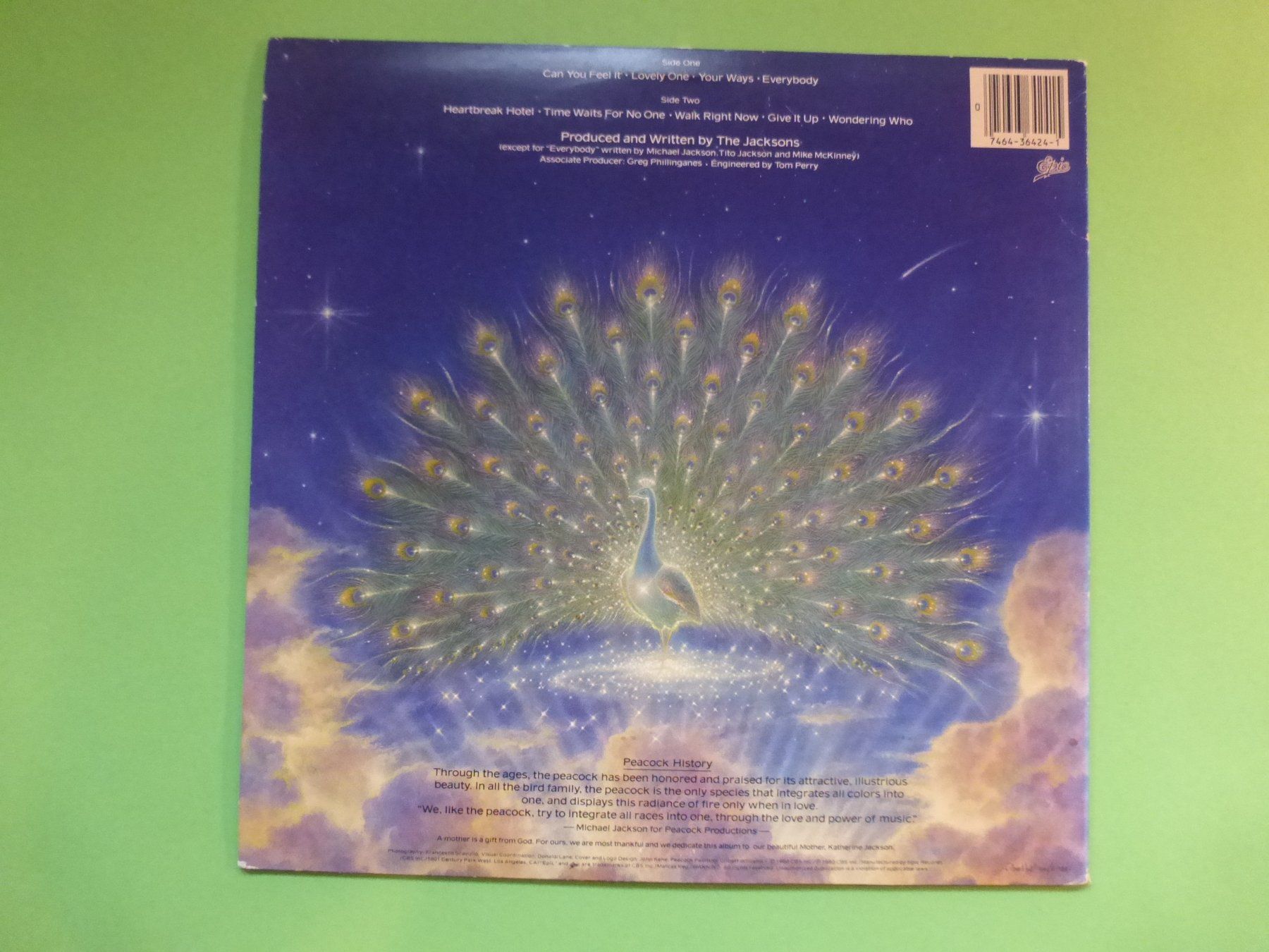 Dischi in vinile: The Jacksons – Triumph – Usato da Zürich venduto da Swiss57 1