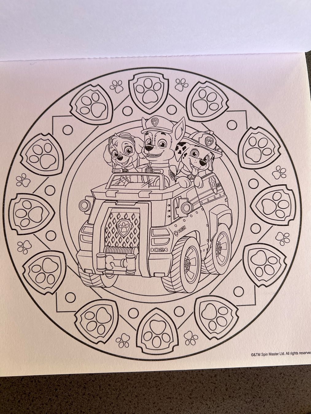 Libri: PAW Patrol Mandala Ausmalbuch – Usato da Winkel venduto da Tilivika 3