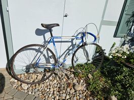 Rennrad Pinarello Treviso Shimano 600 blau weiss gebraucht
