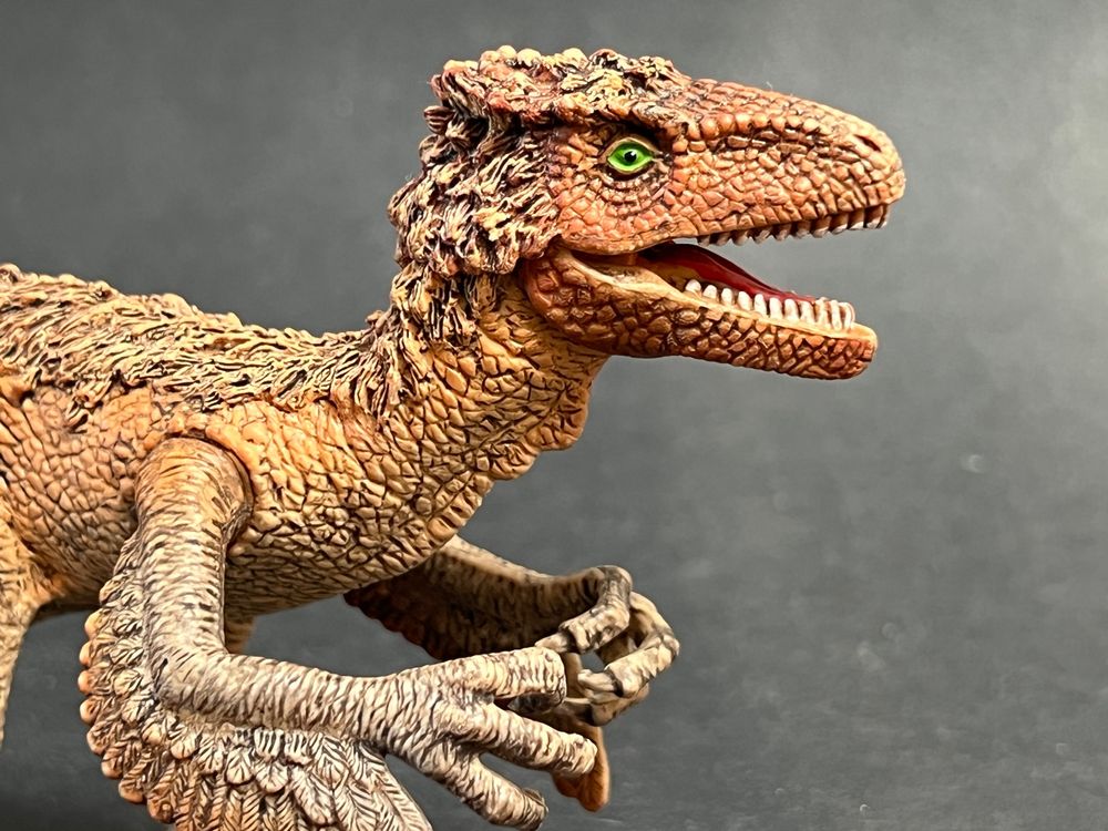 Schleich Velociraptor 42347 Gefiederter Raptor Dinosaurier (Neu (gemäss ...