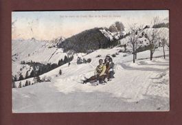 En luge sur la route de CREDY BAU - Dent de Jaman - 1913