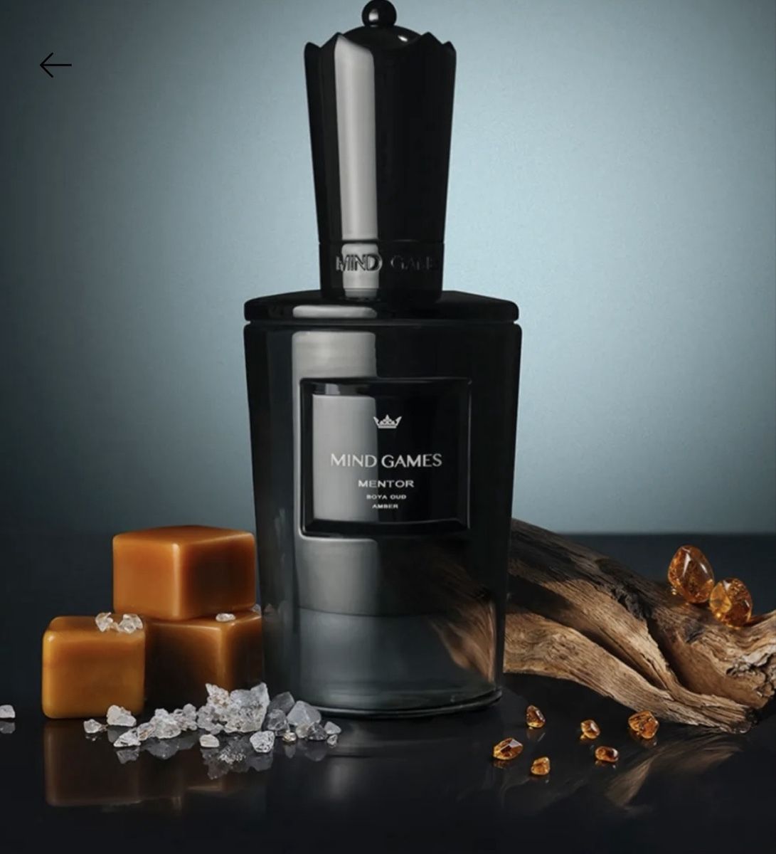 Profumi & Eau de Toilette: NICHE - EXDP Mentor by Mind Games (decant) – Usato da Genève venduto da StaceyH