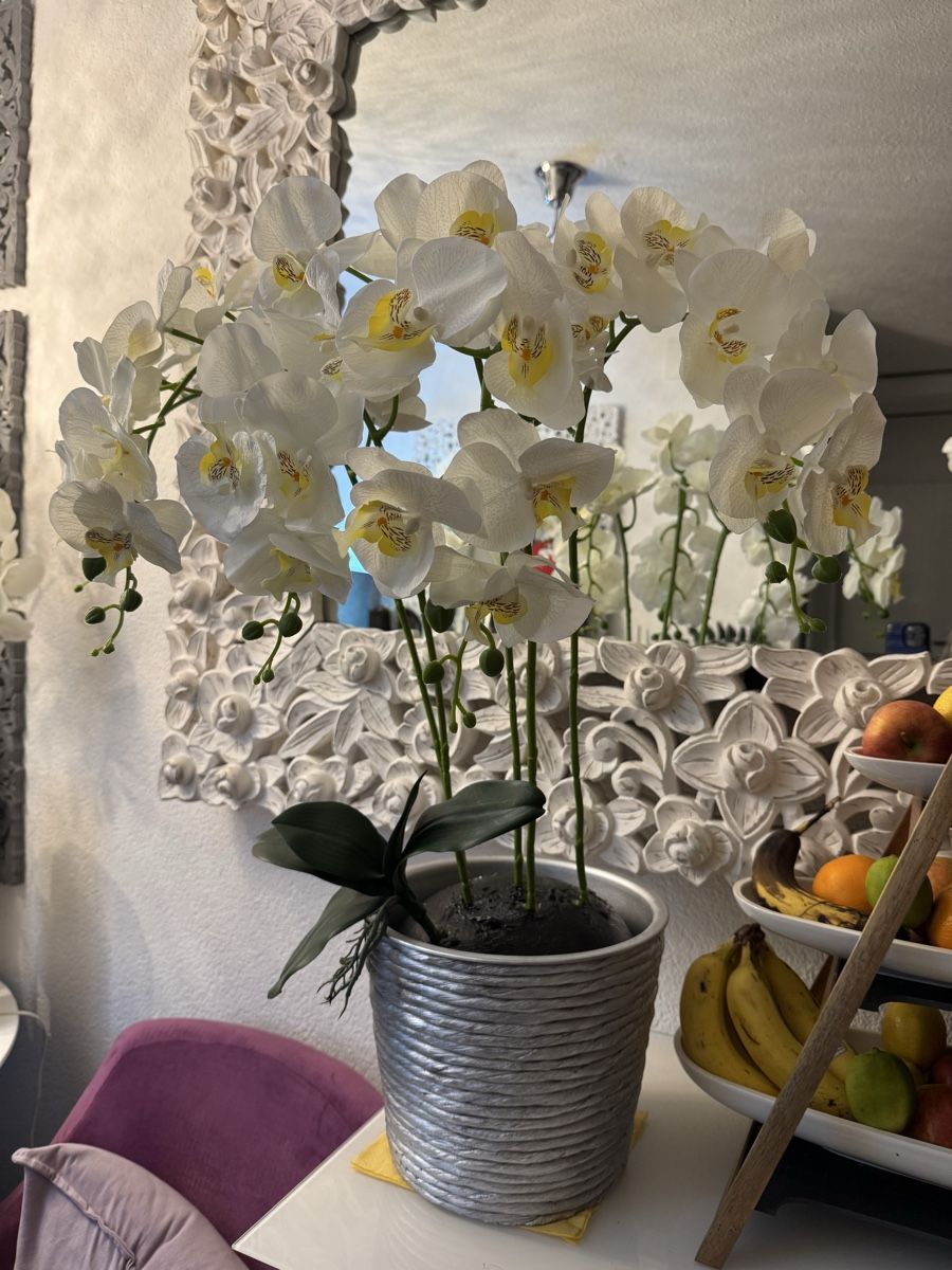 Alle Dekorationen: Künstliche Orchideen New – Neu (gemäss Beschreibung) aus Zürich von Privat4444 2
