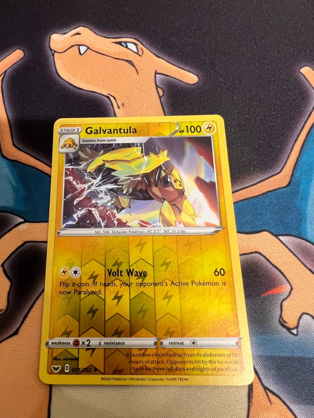 Pokémon Carte collezionabili: Galvantula (SSH 71) - Reverse Holo - Sword & Shield – Nuovo (secondo la descrizione) da Bülach venduto da Pfrenzel