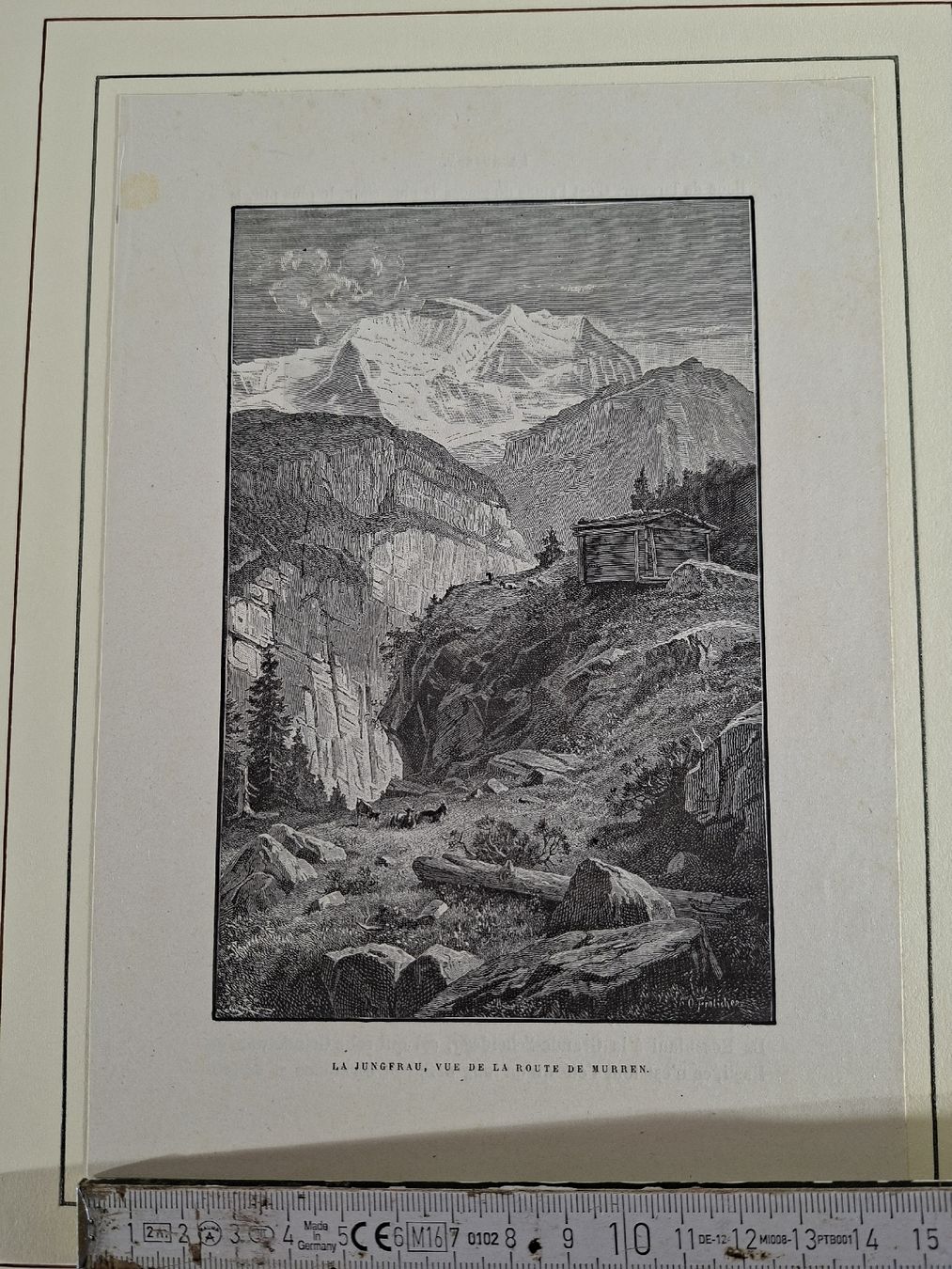 Incisioni: Lot 29 , 5 Stiche  – Usato da Grindelwald venduto da carro5 5