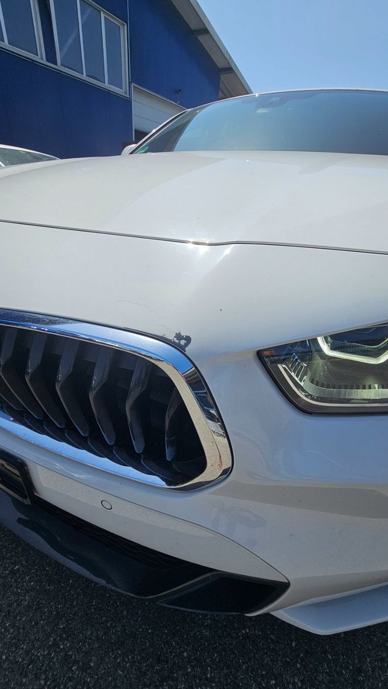 BMW Automobili: BMW X2 xDrive 2.0i M Steptronic – Usato da Diessenhofen venduto da Osio 6