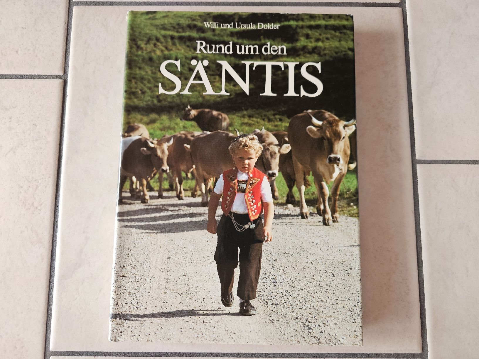 Libri: Rund um den Säntis  /  168 Seiten – Usato da Schneisingen venduto da backstore24