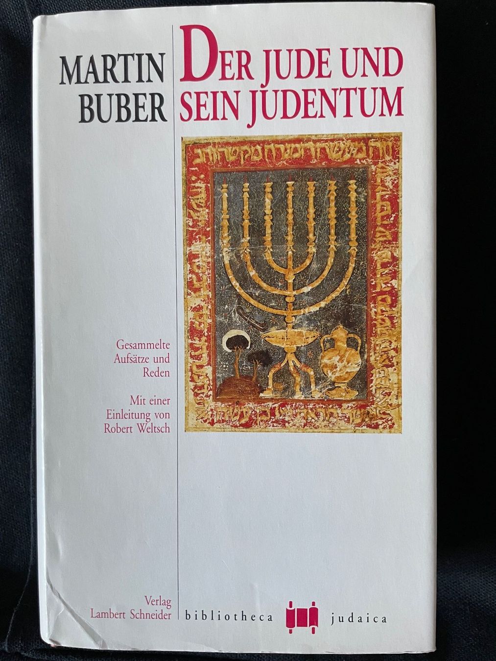 Libri: Der Jude und sein Judentum – Usato da Zürich venduto da bri_pt8h