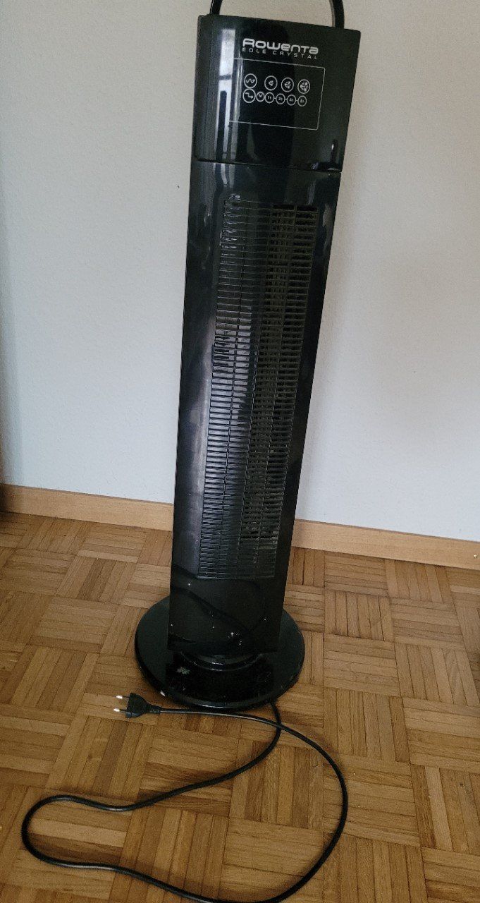 Rowenta Ventilatori: 2 Ventilateurs – Usato da Genève venduto da dar_fzy7 3